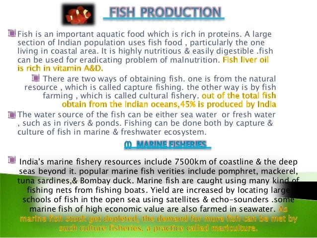 essay on animal husbandry