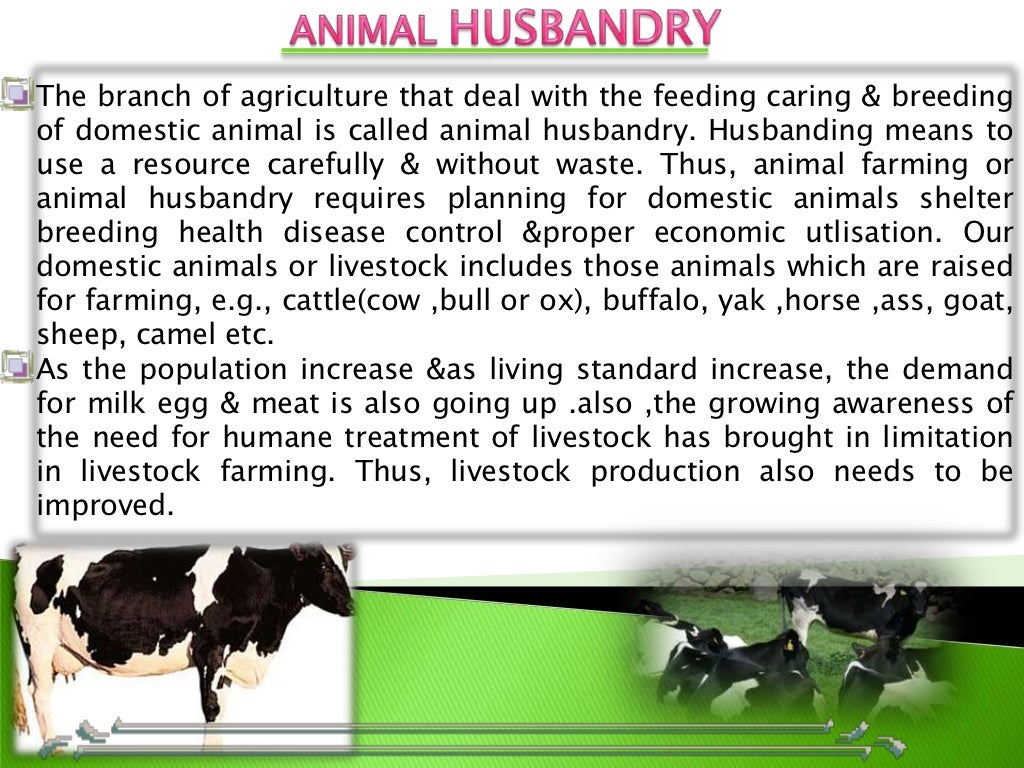 animal husbandry essay answer