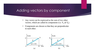 PHYSICS PROJECT - VECTORS project 2.pptx