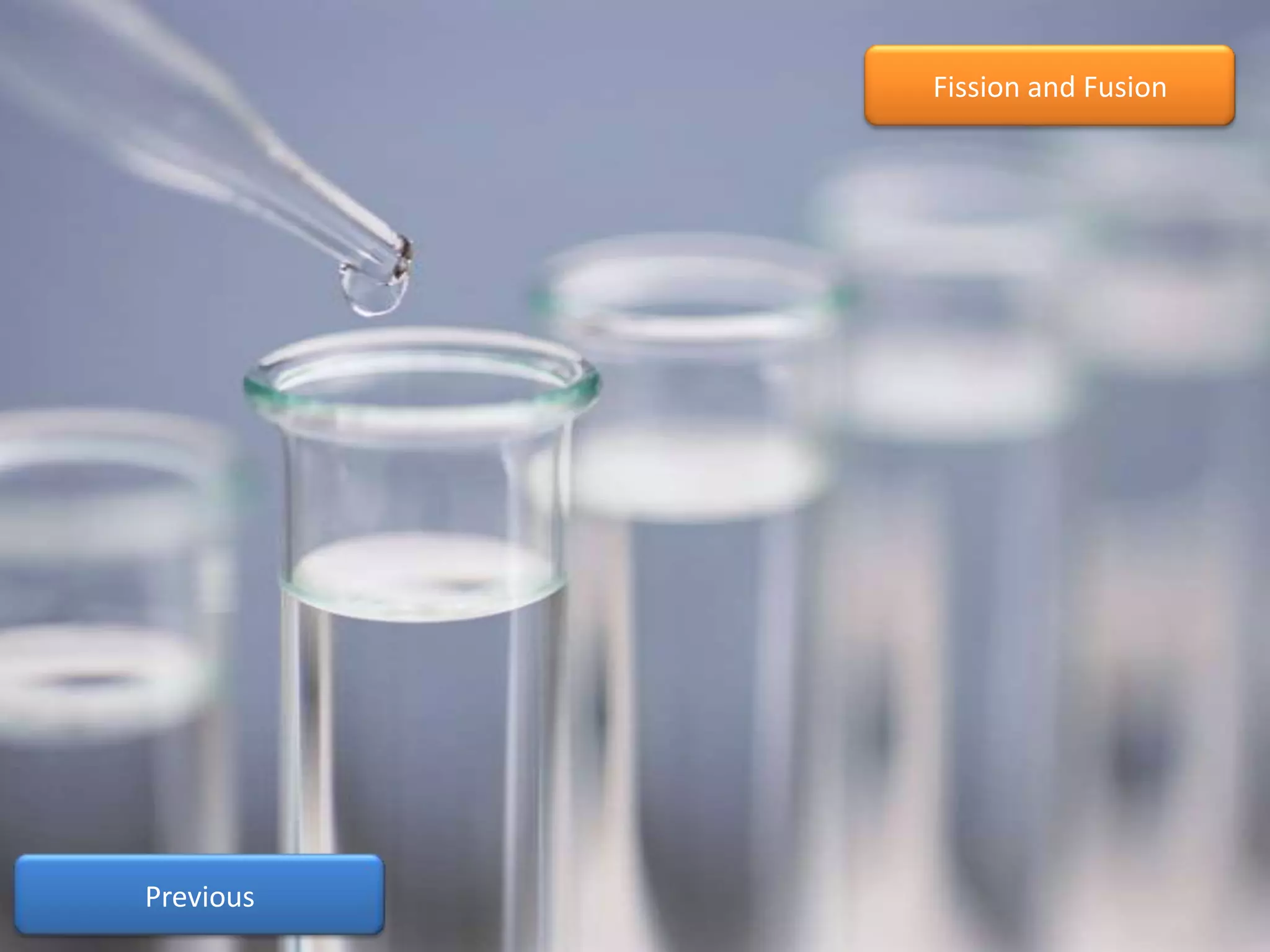 Fission and Fusion




Previous
 