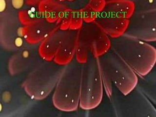 GUIDE OF THE PROJECT
 