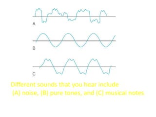 Standing sine wave patterns of air vibrating in a closed
tube. Note the node at the closed end and the antinode
at the ope...