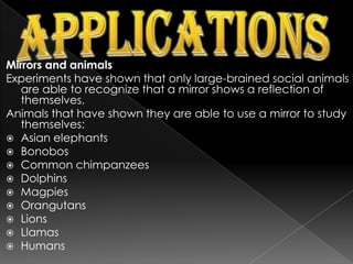 some types of catoptriccistula