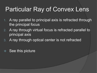 PicturesWikipedia in Leonardo's style.