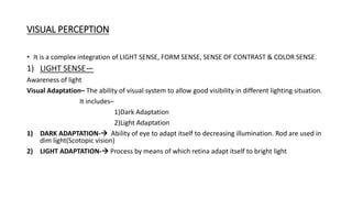 PHYSILOGY OF VISION-1.pptx