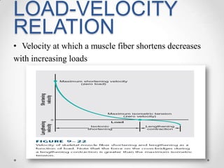 Duration of a twitch is shorter
