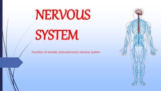 NERVOUS
SYSTEM
Function of somatic and autonomic nervous system
 