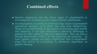 Combined effects
 Genetic adaptation and the three types of adjustments to
environmental stresses are not always distinct phenomena.
 Acclimatization occurring in childhood may result in permanent
anatomical changes, as is often the case with malnutrition.
When an acclimatization is successful in providing good health
and longevity, it can give individuals a selective advantage in
passing on their genes to the next generation. This can have a
strong determinant effect on the direction of evolution. In
turn, genetic change can play a significant role in adjustment
since the ability to acclimatize is ultimately dependent on
genetic makeup.
 