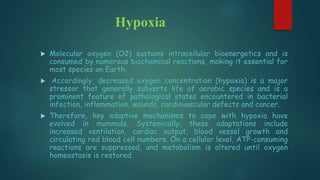 Hypoxia
 Molecular oxygen (O2) sustains intracellular bioenergetics and is
consumed by numerous biochemical reactions, making it essential for
most species on Earth.
 Accordingly, decreased oxygen concentration (hypoxia) is a major
stressor that generally subverts life of aerobic species and is a
prominent feature of pathological states encountered in bacterial
infection, inflammation, wounds, cardiovascular defects and cancer.
 Therefore, key adaptive mechanisms to cope with hypoxia have
evolved in mammals. Systemically, these adaptations include
increased ventilation, cardiac output, blood vessel growth and
circulating red blood cell numbers. On a cellular level, ATP-consuming
reactions are suppressed, and metabolism is altered until oxygen
homeostasis is restored.
 