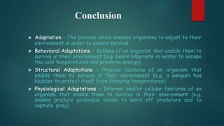 Conclusion
 Adaptation – The process which enables organisms to adjust to their
environment in order to ensure survival .
 Behavioral Adaptations – Actions of an organism that enable them to
survive in their environment (e.g. bears hibernate in winter to escape
the cold temperatures and preserve energy).
 Structural Adaptations – Physical features of an organism that
enable them to survive in their environment (e.g. a penguin has
blubber to protect itself from freezing temperatures).
 Physiological Adaptations – Internal and/or cellular features of an
organism that enable them to survive in their environment (e.g.
snakes produce poisonous venom to ward off predators and to
capture prey)
 