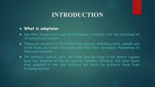INTRODUCTION
 What is adaptaion
 how they change their body and behaviour, to better suit the conditions of
its natural environment.
 There are around 8 to 10 million living species, including plants, animals and
birds found all across the world and they have developed themselves to
their environments.
 For instance: Camels, cacti and other species living in hot desert regions
have long adapted to the dry and hot weather. Similarly, the polar bears
have adapted to the cold surfaces and thick fur protects them from
freezing weather
 