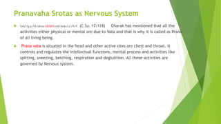 Pranavaha Srotas as Nervous System
 lokZfg ps’Vk okrsuizk.kk%izkf.kukaLe`r% A (C.Su. 17/118) Charak has mentioned that al...