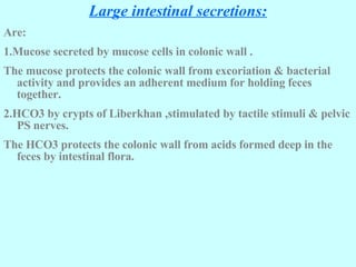 Large intestinal secretions: Are: 1.Mucose secreted by mucose cells in colonic wall . The mucose protects the colonic wall from excoriation & bacterial activity and provides an adherent medium for holding feces together. 2.HCO3 by crypts of Liberkhan ,stimulated by tactile stimuli & pelvic PS nerves. The HCO3 protects the colonic wall from acids formed deep in the feces by intestinal flora.  