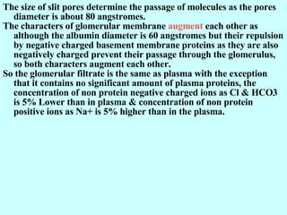 The size of slit pores determine the passage of molecules as the pores diameter is about 80 angstromes. The characters of glomerular membrane  augment  each other as although the albumin diameter is 60 angstromes but their repulsion by negative charged basement membrane proteins as they are also negatively charged prevent their passage through the glomerulus, so both characters augment each other. So the glomerular filtrate is the same as plasma with the exception that it contains no significant amount of plasma proteins, the concentration of non protein negative charged ions as Cl & HCO3 is 5% Lower than in plasma & concentration of non protein positive ions as Na+ is 5% higher than in the plasma.  