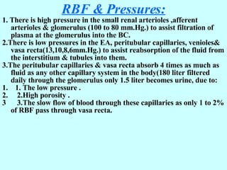 RBF & Pressures: 1. There is high pressure in the small renal arterioles ,afferent arterioles & glomerulus (100 to 80 mm.Hg.) to assist filtration of plasma at the glomerulus into the BC. 2.There is low pressures in the EA, peritubular capillaries, venioles& vasa recta(13,10,8,6mm.Hg.) to assist reabsorption of the fluid from the interstitium & tubules into them. 3.The peritubular capillaries & vasa recta absorb 4 times as much as fluid as any other capillary system in the body(180 liter filtered daily through the glomerulus only 1.5 liter becomes urine, due to: 1.    1. The low pressure . 2.     2.High porosity . 3      3.The slow flow of blood through these capillaries as only 1 to 2% of RBF pass through vasa recta. 