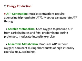 2. Energy Production
• ATP Generation: Muscle contractions require
adenosine triphosphate (ATP). Muscles can generate ATP
through:
• Aerobic Metabolism: Uses oxygen to produce ATP
from carbohydrates and fats; predominant during
prolonged, moderate-intensity exercise.
• Anaerobic Metabolism: Produces ATP without
oxygen; dominant during short bursts of high-intensity
exercise (e.g., sprinting).
 