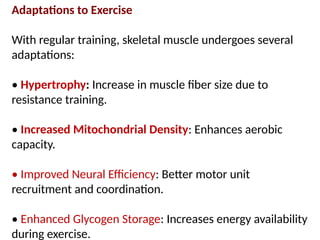 Adaptations to Exercise
With regular training, skeletal muscle undergoes several
adaptations:
• Hypertrophy: Increase in muscle fiber size due to
resistance training.
• Increased Mitochondrial Density: Enhances aerobic
capacity.
• Improved Neural Efficiency: Better motor unit
recruitment and coordination.
• Enhanced Glycogen Storage: Increases energy availability
during exercise.
 