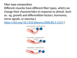 Fiber type composition
Different muscles have different fiber types, which can
change their characteristics in response to stimuli. Such
as : eg. growth and differentition factors, hormones,
nerve signals, or exercise.(
https://doi.org/10.1152/physrev.2000.80.3.1215 )
 