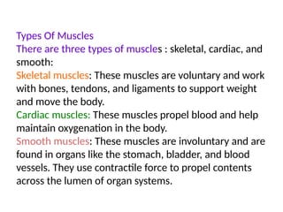 Types Of Muscles
There are three types of muscles : skeletal, cardiac, and
smooth:
Skeletal muscles: These muscles are voluntary and work
with bones, tendons, and ligaments to support weight
and move the body.
Cardiac muscles: These muscles propel blood and help
maintain oxygenation in the body.
Smooth muscles: These muscles are involuntary and are
found in organs like the stomach, bladder, and blood
vessels. They use contractile force to propel contents
across the lumen of organ systems.
 