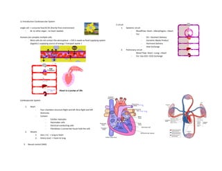 L1 Introduction Cardiovascular System
single cell -> consume food & O2 directly from environment
- Bc no other organ , no heart needed
Humans are complex multiple cells.
- Most cells do not contact the atmosphere. = CVS is needs as food supplying system
(logistic) ( supplying source of energy / transport waste )
Cardiovascular System
1. Heart
- Four chambers structure Right and left Atria Right and left
Ventricles
- Contain:
- Cardiac myocytes
- Pacemaker cells
- Electrical conducting cells
- Fibroblasts ( connective tissue hold the cell)
2. Vessels
1. Vein ( in) -> lung to heart
2. Artery (out) -> heart to lung
3. Neural control (ANS)
2 circuit
1. Systemic circuit
- BloodFlow: Heart→ManyOrgans→Heart
- For:
- O2 + Nutrient Delivery
- Excretion Waste Product
- Hormone Delivery
- Heat Exchange
2. Pulmonary circuit
- Blood Flow: Heart→Lung→Heart
- For: Gas (O2+ CO2) Exchange
 