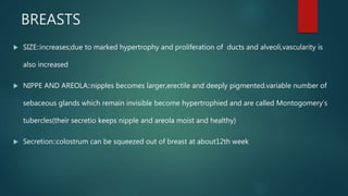 BREASTS
 SIZE::increases;due to marked hypertrophy and proliferation of ducts and alveoli,vascularity is
also increased
 NIPPE AND AREOLA::nipples becomes larger,erectile and deeply pigmented.variable number of
sebaceous glands which remain invisible become hypertrophied and are called Montogomery’s
tubercles(their secretio keeps nipple and areola moist and healthy)
 Secretion::colostrum can be squeezed out of breast at about12th week
 