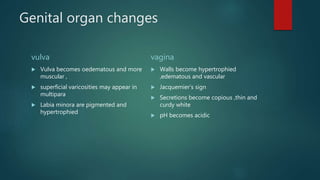 Genital organ changes
vulva
 Vulva becomes oedematous and more
muscular ,
 superficial varicosities may appear in
multipara
 Labia minora are pigmented and
hypertrophied
vagina
 Walls become hypertrophied
,edematous and vascular
 Jacquemier’s sign
 Secretions become copious ,thin and
curdy white
 pH becomes acidic
 