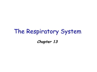 The Respiratory System  ,[object Object]