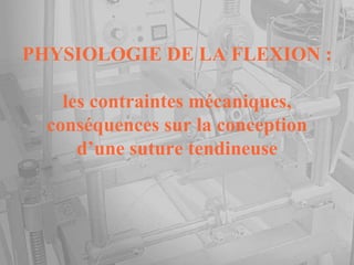 PHYSIOLOGIE DE LA FLEXION : les contraintes mécaniques, conséquences sur la conception d’une suture tendineuse 