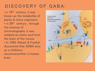 D I S C O V E R Y O F G A B A :
• in 19th century, it was
known as the metabolite of
plants & micro organisms.
• in 20th century , through
the process of
chromatography it was
isolated as amino acid from
the brain of the mouse.
• In 1950, Robert & Frankel
discovered that GABA acts
as a inhibitory
neurotransmitter in human
brain.
 