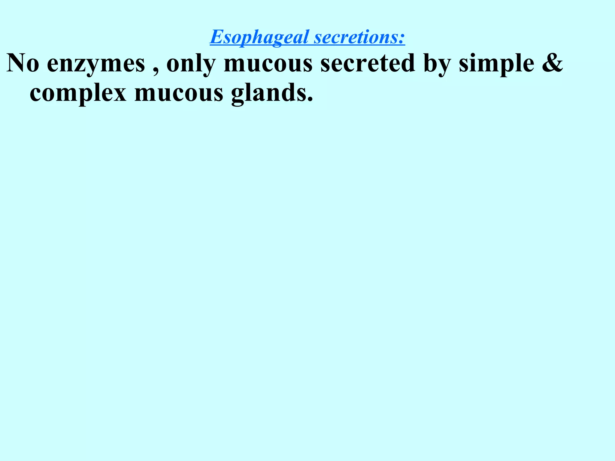 Esophageal secretions:
No enzymes , only mucous secreted by simple &
complex mucous glands.
 