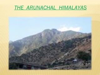 THE  ARUNACHAL  HIMALAYAS 