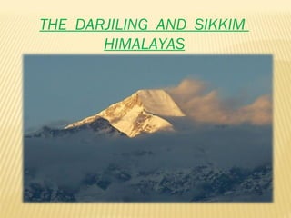 THE  DARJILING  AND  SIKKIM  HIMALAYAS 