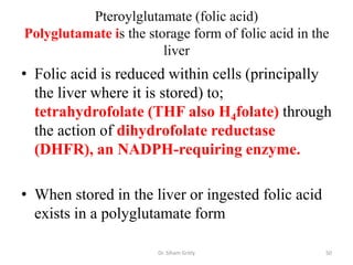 Pteroylglutamate (folic acid)
Polyglutamate is the storage form of folic acid in the
                        liver
• Folic acid is reduced within cells (principally
  the liver where it is stored) to;
  tetrahydrofolate (THF also H4folate) through
  the action of dihydrofolate reductase
  (DHFR), an NADPH-requiring enzyme.

• When stored in the liver or ingested folic acid
  exists in a polyglutamate form

                       Dr. Siham Gritly              50
 