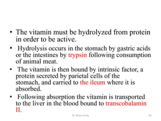 • The vitamin must be hydrolyzed from protein
  in order to be active.
• Hydrolysis occurs in the stomach by gastric acids
  or the intestines by trypsin following consumption
  of animal meat.
• The vitamin is then bound by intrinsic factor, a
  protein secreted by parietal cells of the
  stomach, and carried to the ileum where it is
  absorbed.
• Following absorption the vitamin is transported
  to the liver in the blood bound to transcobalamin
  II.
                      Dr. Siham Gritly             54
 