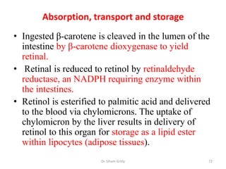Absorption, transport and storage
• Ingested β-carotene is cleaved in the lumen of the
  intestine by β-carotene dioxygenase to yield
  retinal.
• Retinal is reduced to retinol by retinaldehyde
  reductase, an NADPH requiring enzyme within
  the intestines.
• Retinol is esterified to palmitic acid and delivered
  to the blood via chylomicrons. The uptake of
  chylomicron by the liver results in delivery of
  retinol to this organ for storage as a lipid ester
  within lipocytes (adipose tissues).
                        Dr. Siham Gritly             72
 