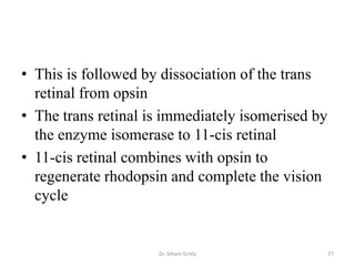 • This is followed by dissociation of the trans
  retinal from opsin
• The trans retinal is immediately isomerised by
  the enzyme isomerase to 11-cis retinal
• 11-cis retinal combines with opsin to
  regenerate rhodopsin and complete the vision
  cycle


                     Dr. Siham Gritly              77
 