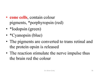 • cone cells, contain colour
  pigments, *porphyropsin (red)
• *Iodopsin (green)
• *Cyanopsin (blue)
• The pigments are converted to trans retinal and
  the protein opsin is released
• The reaction stimulate the nerve impulse thus
  the brain red the colour

                     Dr. Siham Gritly           78
 