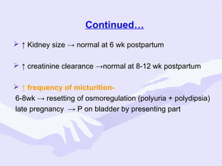 Continued…
 ↑ Kidney size → normal at 6 wk postpartum
 ↑ creatinine clearance →normal at 8-12 wk postpartum
 ↑ frequency of micturition6-8wk → resetting of osmoregulation (polyuria + polydipsia)
late pregnancy → P on bladder by presenting part

 