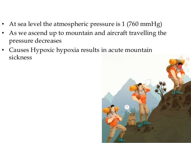 The Human Brain In A High Altitude Natural Environment: A Review – IAZDR