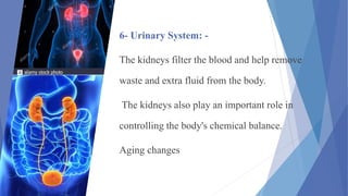 Physiological changes with aging | PPTX