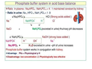 Ppo2 Acid Base Balance Physiological acid base balance | PPTX
