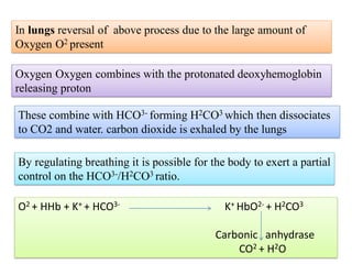 By regulating breathing it is possible for the body to exert a partial
control on the HCO3-/H2CO3 ratio.
In lungs reversal of above process due to the large amount of
Oxygen O2 present
Oxygen Oxygen combines with the protonated deoxyhemoglobin
releasing proton
These combine with HCO3- forming H2CO3 which then dissociates
to CO2 and water. carbon dioxide is exhaled by the lungs
O2 + HHb + K+ + HCO3- K+ HbO2- + H2CO3
Carbonic anhydrase
CO2 + H2O
 