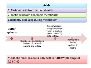 Buffer
systems
Bicarbonate and carbonic
acid (HCO3– : H2CO3)
plasma and kidney
Monohydrogen
phosphate/dihyd
rogen phosphate
(HPO4- - : H2PO4-)
cells kidney.
Hemoglobin
buffer
system in
RBC’s
Acids
1. Carbonic acid from carbon dioxide
2. Lactic acid from anaerobic metabolism
Constantly produced during metabolism
Metabolic reactions occur only within narrow pH range of
7.38-7.42
 