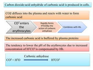 CO2 enters
the
erythrocytes
Rapidly forms
H2CO3by the
action of carbonic
anhydrase
Combines with Hb.
Carbonic anhydrase
CO2 + H2O H2CO3
Carbon dioxide-acid anhydride of carbonic acid is produced in cells.
CO2 diffuses into the plasma and reacts with water to form
carbonic acid
The increased carbonic acid is buffered by plasma proteins
The tendency to lower the pH of the erythrocytes due to increased
concentration of H2CO3 is compensated by Hb.
 