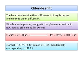 Bicarbonate in plasma, along with the plasma carbonic acid
now acts as efficient buffer system
Chloride shift
The bicarbonate anion then diffuses out of erythrocytes
and chloride anion diffuses in.
H2CO3 + K+ +HbO2- K+ + HCO3- + HHb + O2
Normal HCO3-/ H2CO3 ratio is 27/1.35 meq/lt (20:1)
corresponding to pH 7.4
 