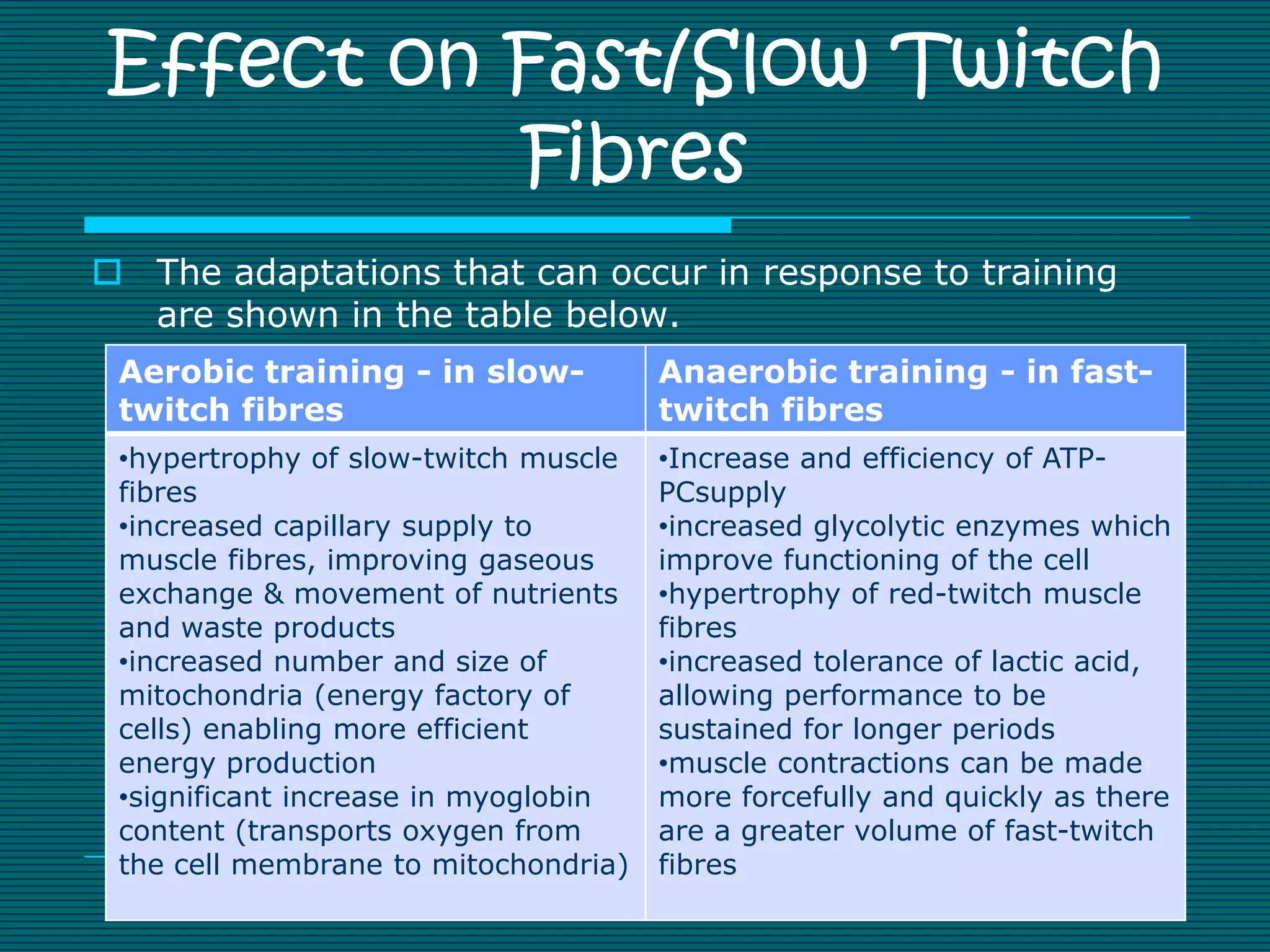 Effect on Fast/Slow Twitch
          Fibres
 The adaptations that can occur in response to training
  are shown in the table below.
 Aerobic training - in slow-          Anaerobic training - in fast-
 twitch fibres                        twitch fibres
 •hypertrophy of slow-twitch muscle   •Increase and efficiency of ATP-
 fibres                               PCsupply
 •increased capillary supply to       •increased glycolytic enzymes which
 muscle fibres, improving gaseous     improve functioning of the cell
 exchange & movement of nutrients     •hypertrophy of red-twitch muscle
 and waste products                   fibres
 •increased number and size of        •increased tolerance of lactic acid,
 mitochondria (energy factory of      allowing performance to be
 cells) enabling more efficient       sustained for longer periods
 energy production                    •muscle contractions can be made
 •significant increase in myoglobin   more forcefully and quickly as there
 content (transports oxygen from      are a greater volume of fast-twitch
 the cell membrane to mitochondria)   fibres
 