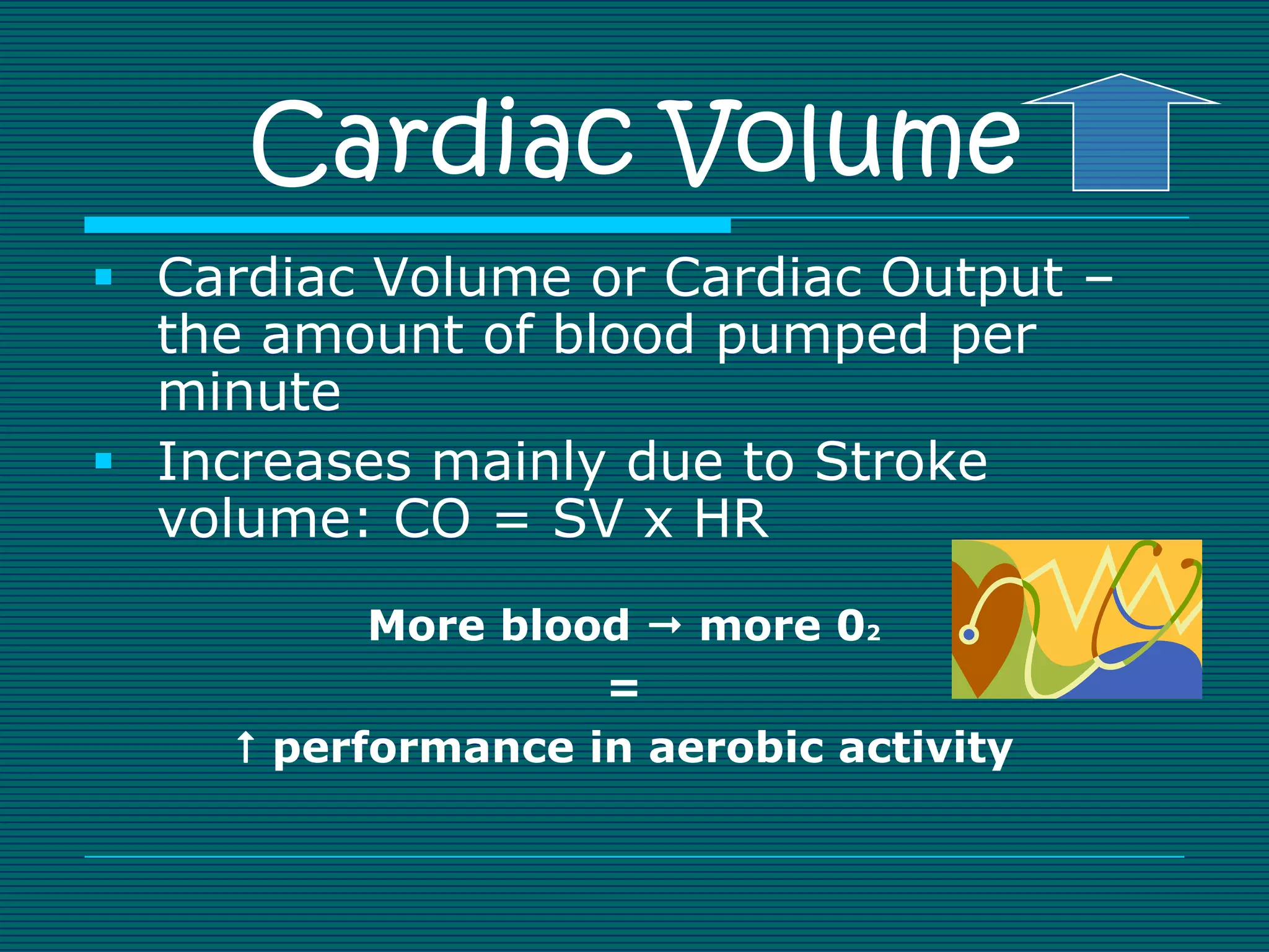 Cardiac Volume
 Cardiac Volume or Cardiac Output –
  the amount of blood pumped per
  minute
 Increases mainly due to Stroke
  volume: CO = SV x HR
           More blood  more 02
                    =
      performance in aerobic activity
 