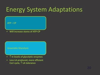 Physiological adaptations to strength training visual bee - visualbee ...