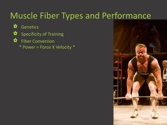 Physiological adaptations to strength training visual bee - visualbee ...