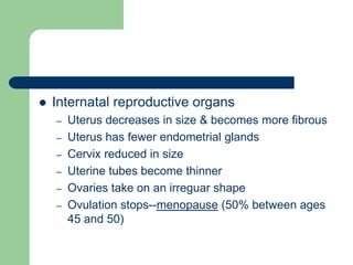  Internatal reproductive organs
– Uterus decreases in size & becomes more fibrous
– Uterus has fewer endometrial glands
– Cervix reduced in size
– Uterine tubes become thinner
– Ovaries take on an irreguar shape
– Ovulation stops--menopause (50% between ages
45 and 50)
 